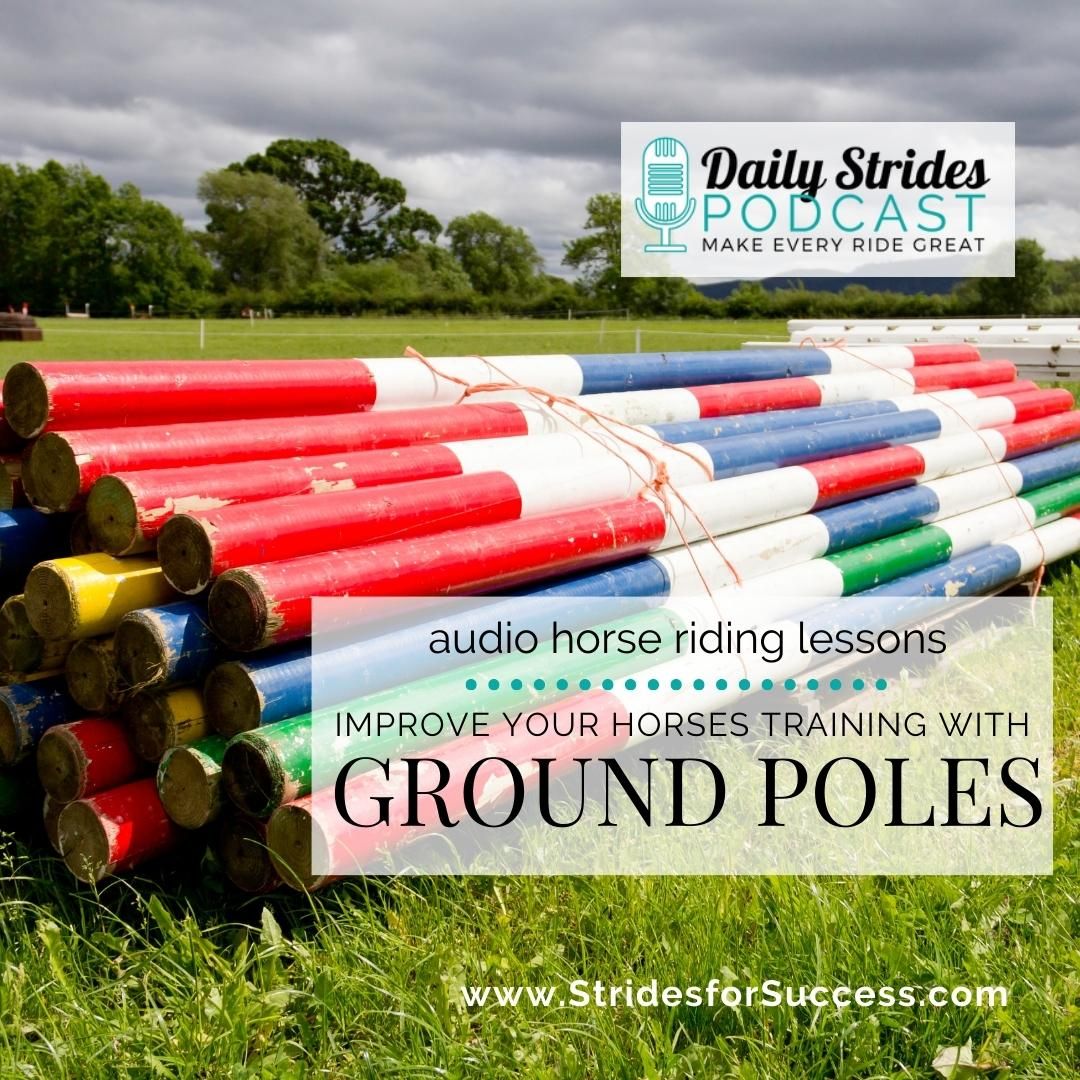 Transform Your Horses Training with Ground Poles