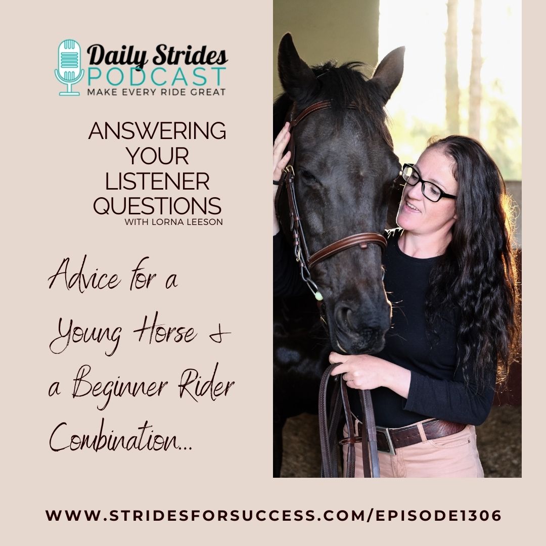 Question:- Young Horse and a Beginner Rider Combination