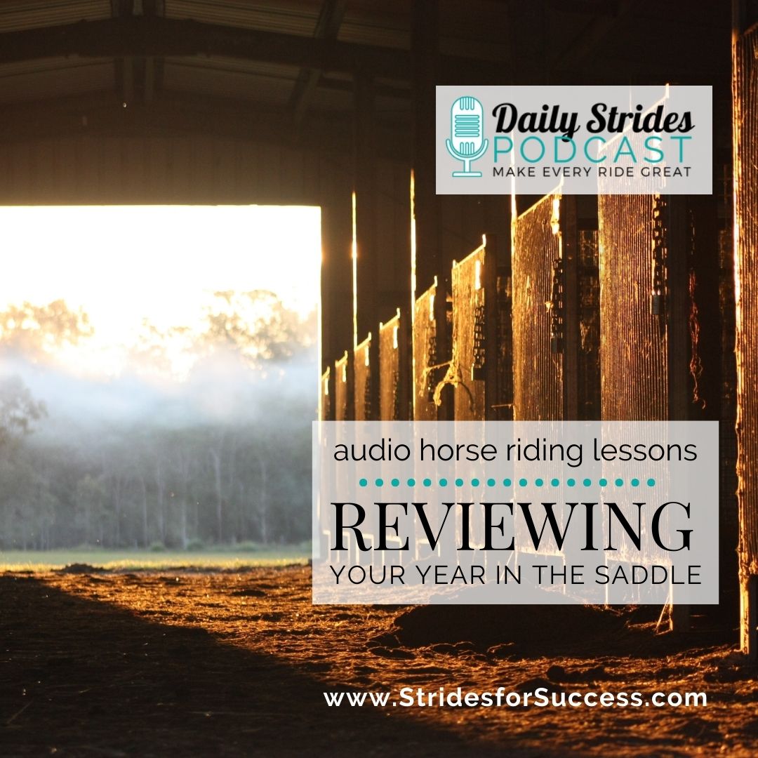 Ideas for Reviewing Your Year in the Saddle