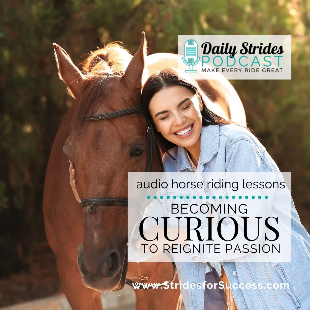 Becoming Curious to Reigniting Passion and Progress in Your Riding