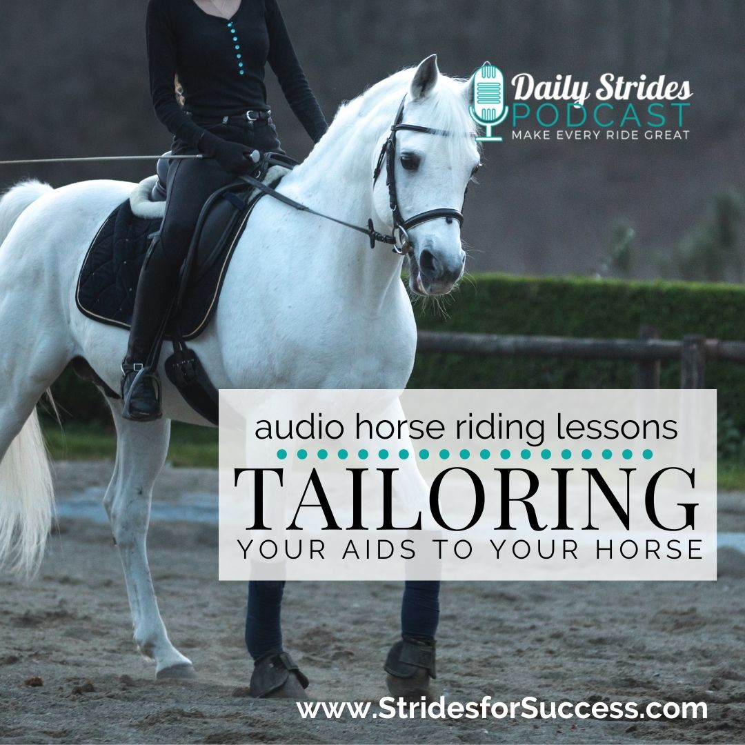 Tailoring Your Aids to Your Horse