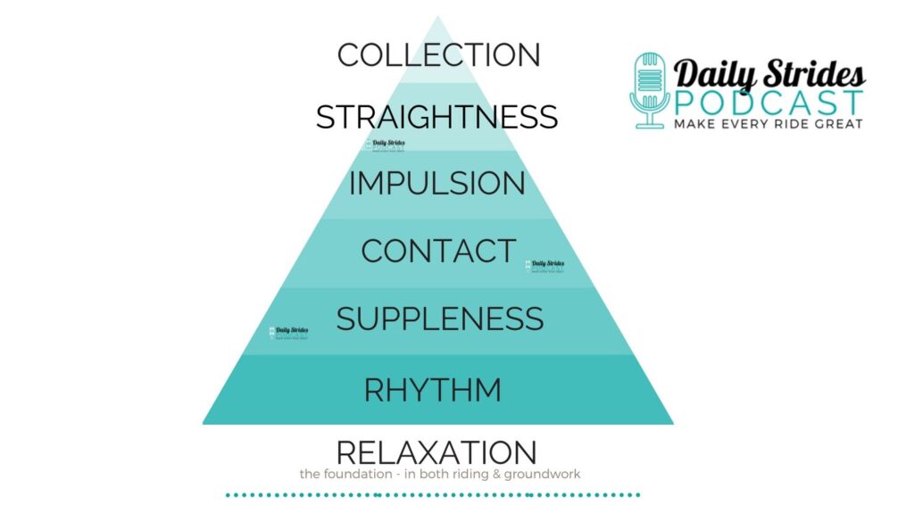 Traditional Training Scale - Daily Strides Podcast for Equestrians