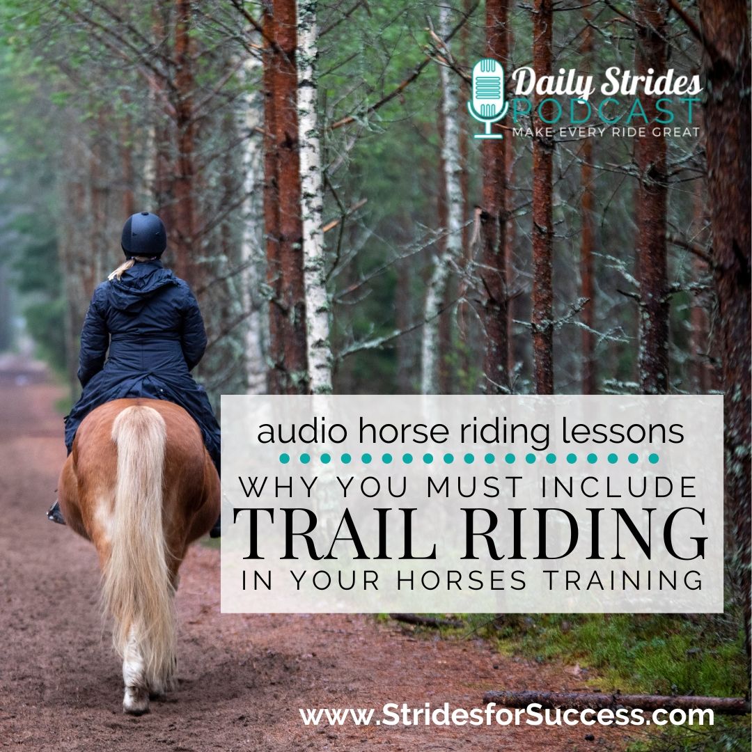 Why You MUST Include Trail Riding in Your Horse’s Training