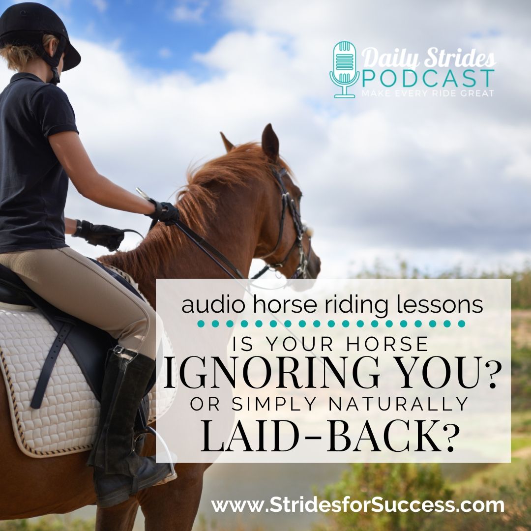 Is your Horse Ignoring You? Or Naturally Laid-Back? Find Out…