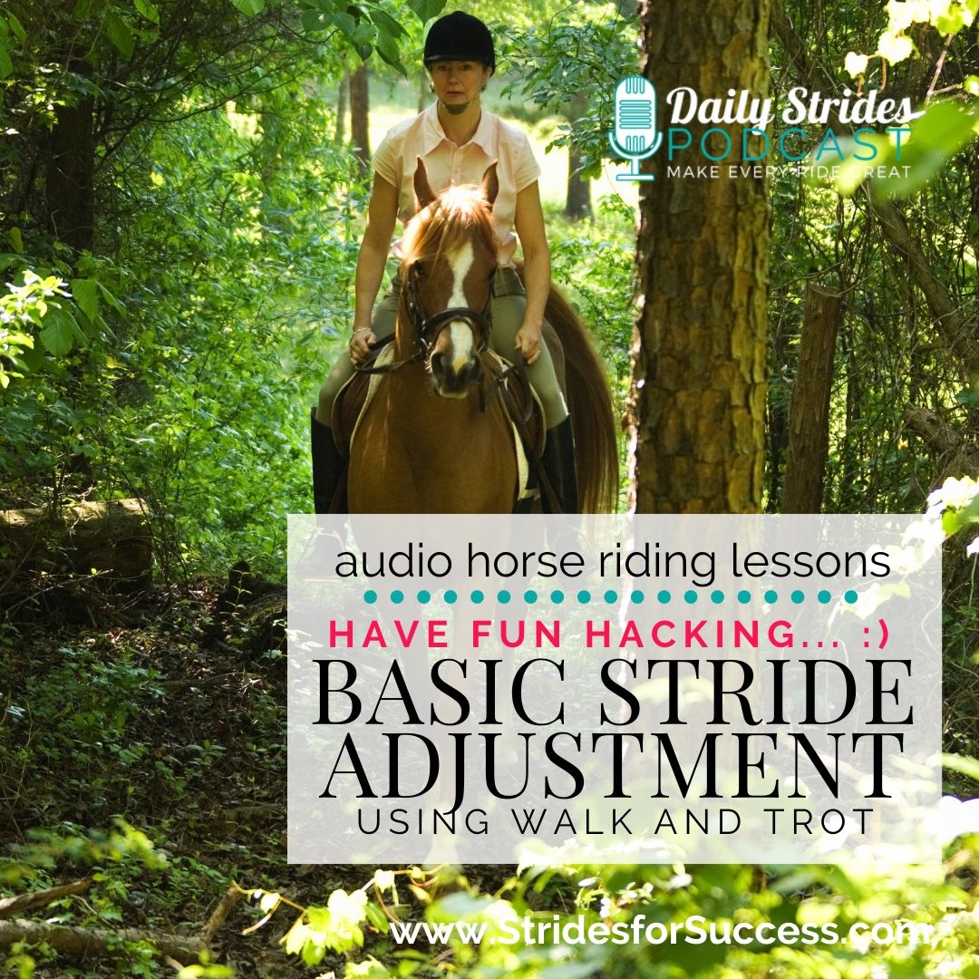 Have Fun Hacking – Getting Started with Stride Adjustment in Walk and Trot