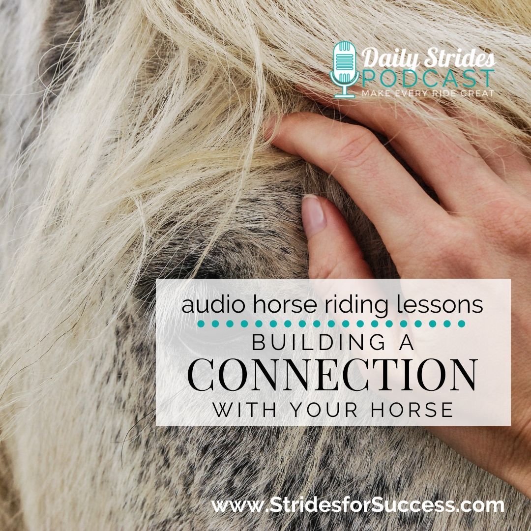 1342 - Building a Connection with Your Horse
